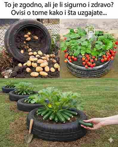 Kako Uzgojiti Hranu u Starim Gumama – Pametno i Efikasno
