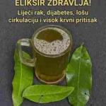 ČETIRI LISTA KOJA MOGU POMOĆI U BORBI PROTIV DIJABETESA, RAKA, MASNE JETRE, LOŠE CIRKULACIJE I VISOKOG PRITISKA 