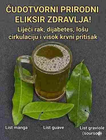 ČETIRI LISTA KOJA MOGU POMOĆI U BORBI PROTIV DIJABETESA, RAKA, MASNE JETRE, LOŠE CIRKULACIJE I VISOKOG PRITISKA 
