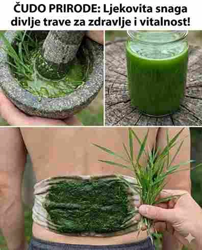 Ako imate ovaj list u svom dvorištu, zapravo imate zlato, a da toga niste ni svjesni! 🌿💛