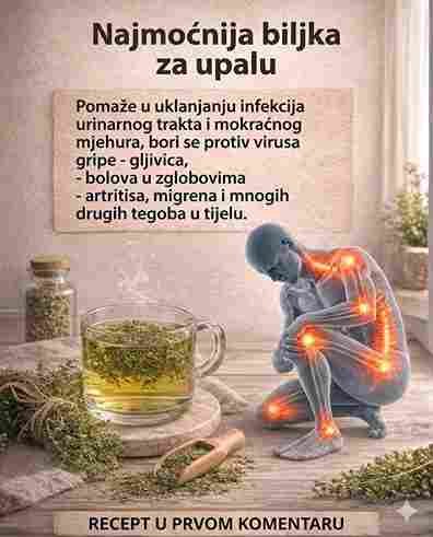 Najmoćnija biljka koju poznaje čovječanstvo: Kraj upalama i bolovima